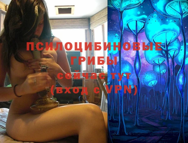 спиды Видное
