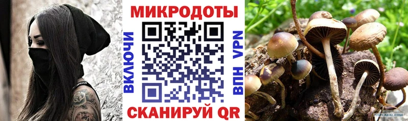 Псилоцибиновые грибы Psilocybe  цена наркотик  Весьегонск 