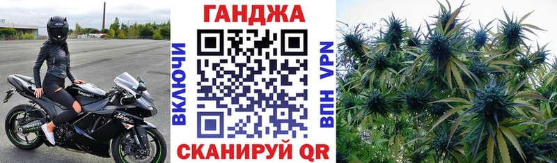 мориарти телеграм  Весьегонск  Бошки Шишки Bruce Banner 